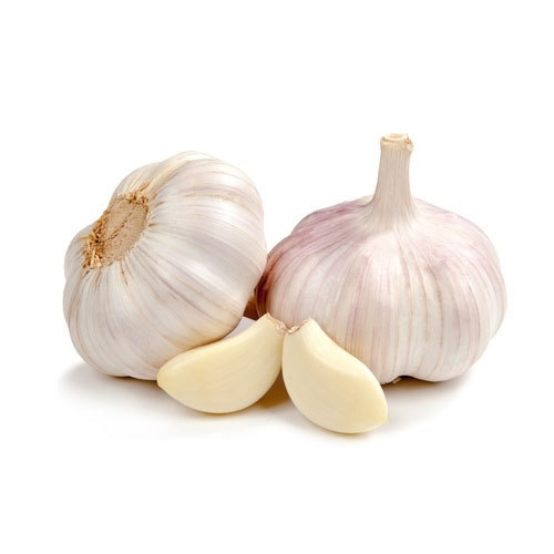 garlic image